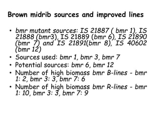 Brown midrib sources and improved lines
• bmr mutant sources: IS 21887 ( bmr 1), IS
21888 (bmr3), IS 21889 (bmr 6), IS 21890
(bmr 7) and IS 21891(bmr 8), IS 40602
(bmr 12)
• Sources used: bmr 1, bmr 3, bmr 7
• Potential sources: bmr 6, bmr 12
• Number of high biomass bmr B-lines - bmr
1: 2, bmr 3: 3, bmr 7: 6
• Number of high biomass bmr R-lines - bmr
1: 10, bmr 3: 3, bmr 7: 9
 