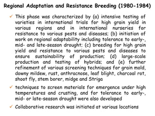Regional Adaptation and Resistance Breeding (1980-1984)
 This phase was characterized by (a) intensive testing of
varieties in international trials for high grain yield in
various regions and in international nurseries for
resistance to various pests and diseases; (b) initiation of
work on regional adaptability including tolerance to early-,
mid- and late-season drought; (c) breeding for high grain
yield and resistance to various pests and diseases to
ensure sustainability of production; (d) large-scale
production and testing of hybrids; and (e) further
refinement of various screening techniques for grain mold,
downy mildew, rust, anthracnose, leaf blight, charcoal rot,
shoot fly, stem borer, midge and Striga
 techniques to screen materials for emergence under high
temperatures and crusting, and for tolerance to early-,
mid- or late-season drought were also developed
 Collaborative research was initiated at various locations
 
