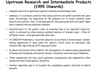 Upstream Research and Intermediate Products
(1995 Onwards)
 emphasis was laid on upstream research including biotechnology tools
 emphasis is to produce parental lines (seed parents and pollen parents) and gene
pools. Accordingly, the objectives of the program are to breed resistant seed
parents and restorer lines, to develop specific new gene pools and novel plant types
and to identify and use molecular markers
 Diversification of the genetic base of breeding lines is an important objective,
which is achieved by intercrossing resistant sources of diverse origin – often of
different races – with agronomically elite lines
 At ICRISAT-Patancheru, recurrent selection is practised in broad-based, random-
mating populations or gene pools for specific traits [such as maintainer (B),
restorer (R), high tillering (HT), large grain (LG)]
 In West and Central Africa (WCA), the development of random-mating populations
of Guinea and Caudatum and another Guinea × Caudatum races has been completed
 These populations will have good agronomic backgrounds and adaptability while
preserving their broad genetic variability
 Another important goal is to broaden the cytoplasmic-genetic diversity of hybrid
parents.
 