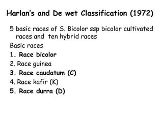 Harlan’s and De wet Classification (1972)
5 basic races of S. Bicolor ssp bicolor cultivated
races and ten hybrid races
Basic races
1. Race bicolor
2. Race guinea
3. Race caudatum (C)
4. Race kafir (K)
5. Race durra (D)
 