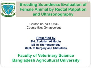 Course no. VSO- 633
Course title: Gynaecology
Breeding Soundness Evaluation of
Female Animal by Rectal Palpation
and Ultrasonography
Presented by
Md. Abdullah Al Mubin
MS in Theriogenology
Dept. of Surgery and Obstetrics
Faculty of Veterinary Science
Bangladesh Agricultural University
 