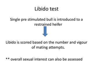 breeding soundness exam in bulls.pptx