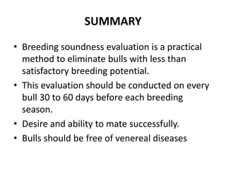 breeding soundness exam in bulls.pptx