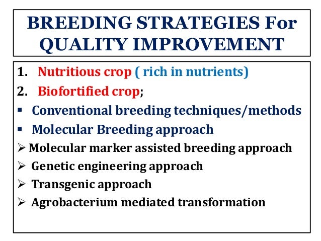 Breeding Strategies For Nutritional Quality In Major Cereal Crops Breeding Strategies For Nutritional Quality In Major Cereal Crops