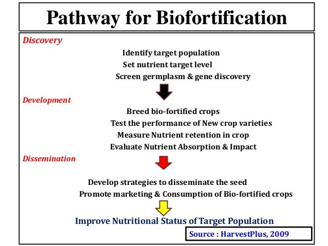 Breeding Strategies For Nutritional Quality In Major Cereal Crops