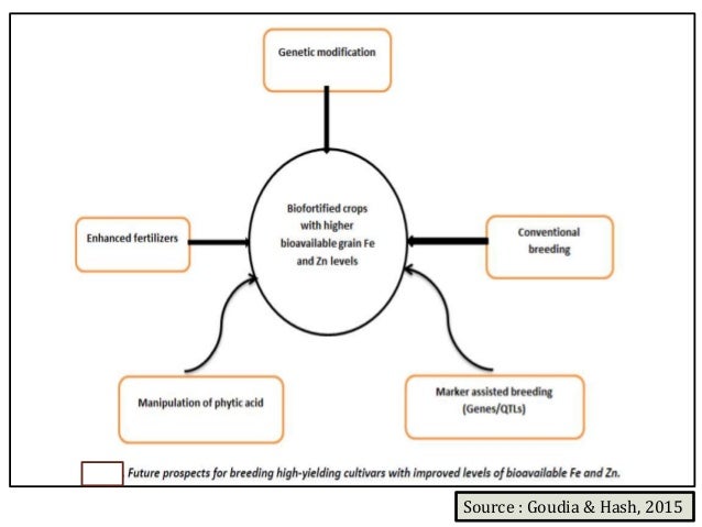 Breeding Strategies For Nutritional Quality In Major Cereal Crops Breeding Strategies For Nutritional Quality In Major Cereal Crops