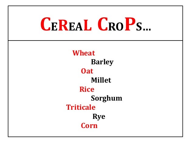 Breeding Strategies For Nutritional Quality In Major Cereal Crops Breeding Strategies For Nutritional Quality In Major Cereal Crops