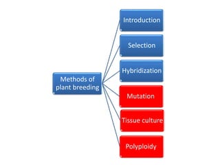 Methods of 
plant breeding 
Introduction 
Selection 
Hybridization 
Mutation 
Tissue culture 
Polyploidy 
 