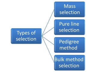 Types of 
selection 
Mass 
selection 
Pure line 
selection 
Pedigree 
method 
Bulk method 
selection 
 