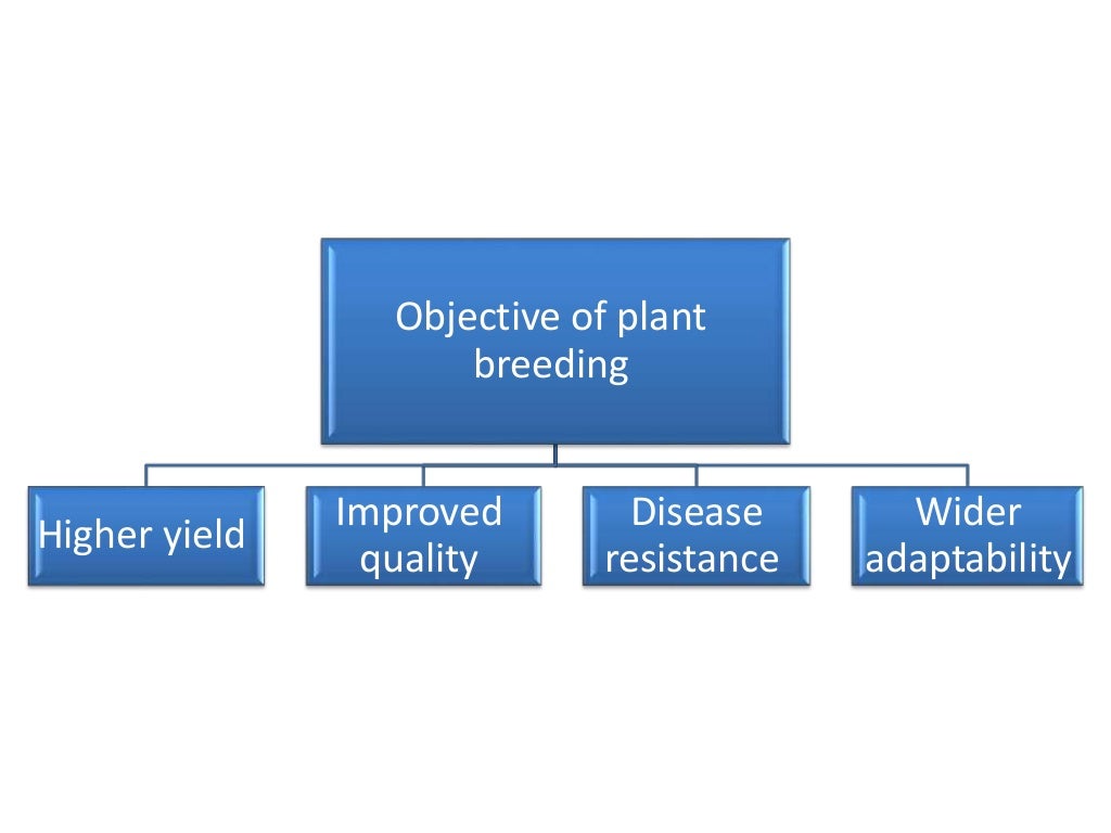 Plant Breeding Systems