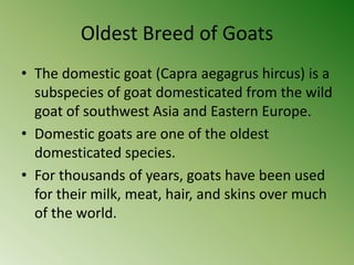Oldest Breed of Goats
• The domestic goat (Capra aegagrus hircus) is a
  subspecies of goat domesticated from the wild
  goat of southwest Asia and Eastern Europe.
• Domestic goats are one of the oldest
  domesticated species.
• For thousands of years, goats have been used
  for their milk, meat, hair, and skins over much
  of the world.
 