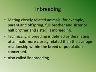 Inbreeding
• Mating closely related animals (for example,
  parent and offspring, full brother and sister or
  half brother and sister) is inbreeding.
• Technically, inbreeding is defined as the mating
  of animals more closely related than the average
  relationship within the breed or population
  concerned.
• Also called linebreeding
 