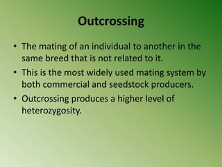 Outcrossing
• The mating of an individual to another in the
  same breed that is not related to it.
• This is the most widely used mating system by
  both commercial and seedstock producers.
• Outcrossing produces a higher level of
  heterozygosity.
 