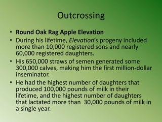 Outcrossing
• Round Oak Rag Apple Elevation
• During his lifetime, Elevation’s progeny included
  more than 10,000 registered sons and nearly
  60,000 registered daughters.
• His 650,000 straws of semen generated some
  300,000 calves, making him the first million-dollar
  inseminator.
• He had the highest number of daughters that
  produced 100,000 pounds of milk in their
  lifetime, and the highest number of daughters
  that lactated more than 30,000 pounds of milk in
  a single year.
 