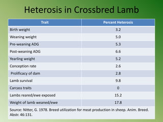 Heterosis in Crossbred Lamb
                     Trait                               Percent Heterosis
Birth weight                                                    3.2
Weaning weight                                                  5.0
Pre-weaning ADG                                                 5.3
Post-weaning ADG                                                6.6
Yearling weight                                                 5.2
Conception rate                                                 2.6
Prolificacy of dam                                              2.8
Lamb survival                                                   9.8
Carcass traits                                                   0
Lambs reared/ewe exposed                                        15.2
Weight of lamb weaned/ewe                                       17.8
Source: Nitter, G. 1978. Breed utilization for meat production in sheep. Anim. Breed.
Abstr. 46:131.
 