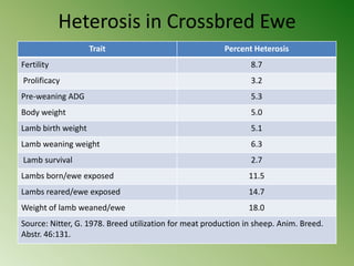 Heterosis in Crossbred Ewe
                    Trait                                Percent Heterosis
Fertility                                                       8.7
Prolificacy                                                     3.2
Pre-weaning ADG                                                 5.3
Body weight                                                     5.0
Lamb birth weight                                               5.1
Lamb weaning weight                                             6.3
Lamb survival                                                   2.7
Lambs born/ewe exposed                                          11.5
Lambs reared/ewe exposed                                        14.7
Weight of lamb weaned/ewe                                       18.0
Source: Nitter, G. 1978. Breed utilization for meat production in sheep. Anim. Breed.
Abstr. 46:131.
 