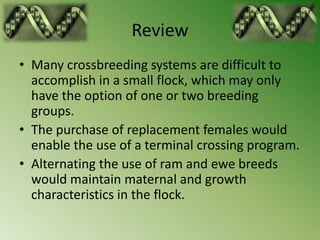 Review
• Many crossbreeding systems are difficult to
  accomplish in a small flock, which may only
  have the option of one or two breeding
  groups.
• The purchase of replacement females would
  enable the use of a terminal crossing program.
• Alternating the use of ram and ewe breeds
  would maintain maternal and growth
  characteristics in the flock.
 