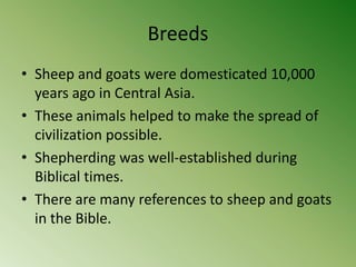 Breeds
• Sheep and goats were domesticated 10,000
  years ago in Central Asia.
• These animals helped to make the spread of
  civilization possible.
• Shepherding was well-established during
  Biblical times.
• There are many references to sheep and goats
  in the Bible.
 