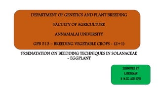 DEPARTMENT OF GENETICS AND PLANT BREEDING
FACULTY OF AGRICULTURE
ANNAMALAI UNIVERSITY
GPB 513 – BREEDING VEGETABLE CROPS - (2+1)
PRSENATATION ON BEEDDING TECHNIQUES IN SOLANACEAE
- EGGPLANT
SUBMITTED BY
A.VIKRAMAN
II M.SC. AGRI GPB
1
 