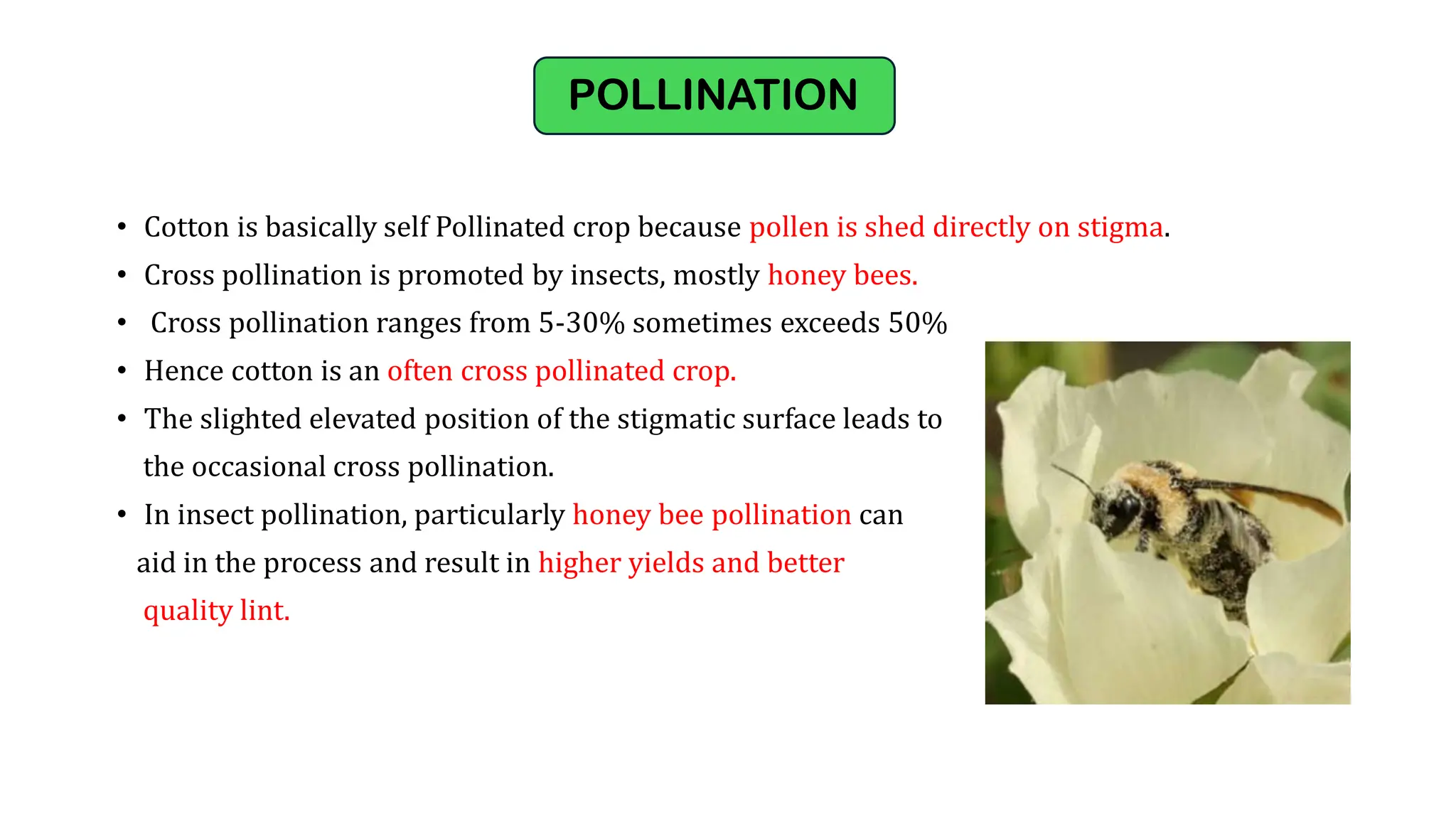Cotton Floral biology and breeding techniques.pdf