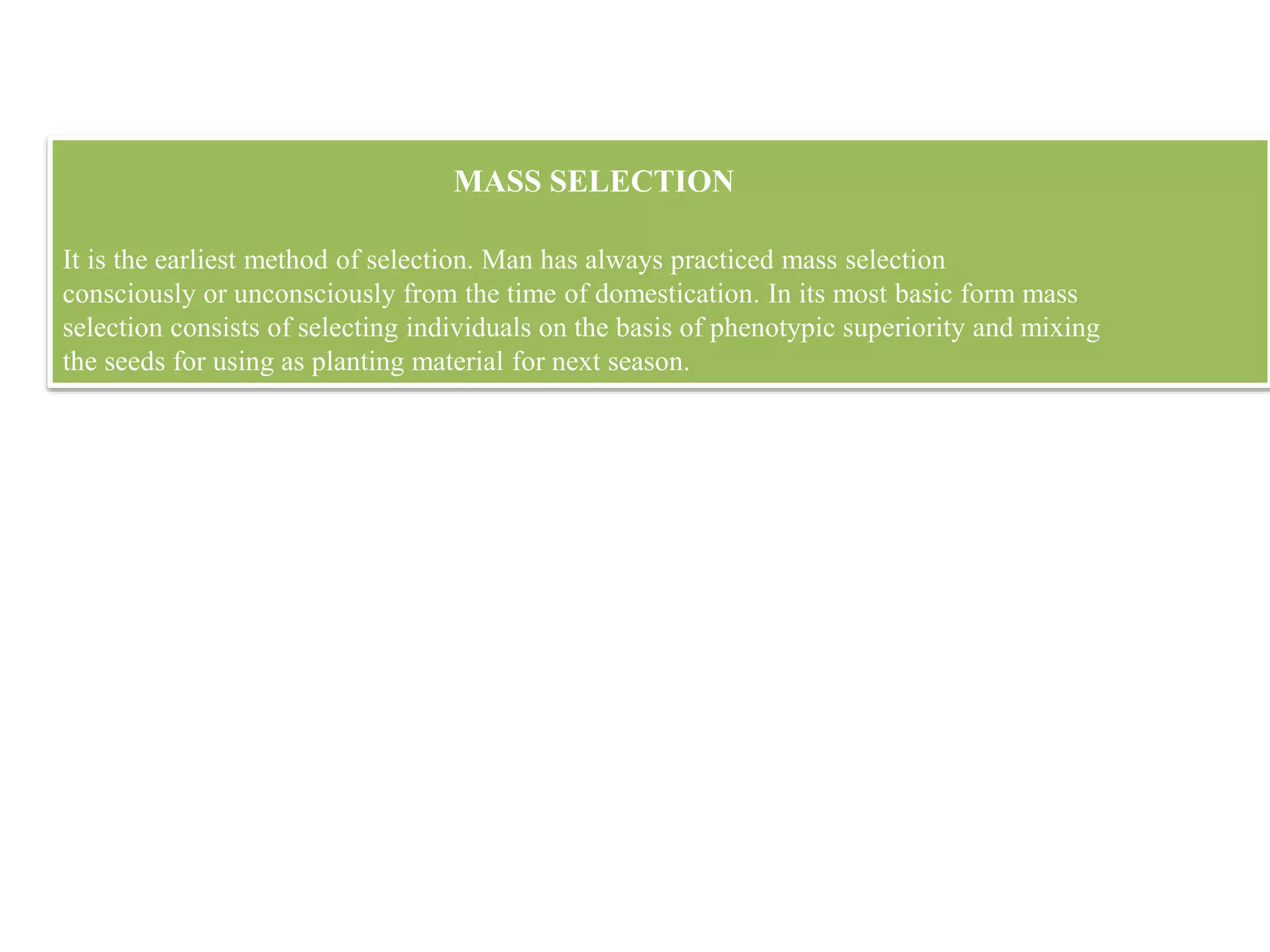 MASS SELECTION
It is the earliest method of selection. Man has always practiced mass selection
consciously or unconsciously from the time of domestication. In its most basic form mass
selection consists of selecting individuals on the basis of phenotypic superiority and mixing
the seeds for using as planting material for next season.
 