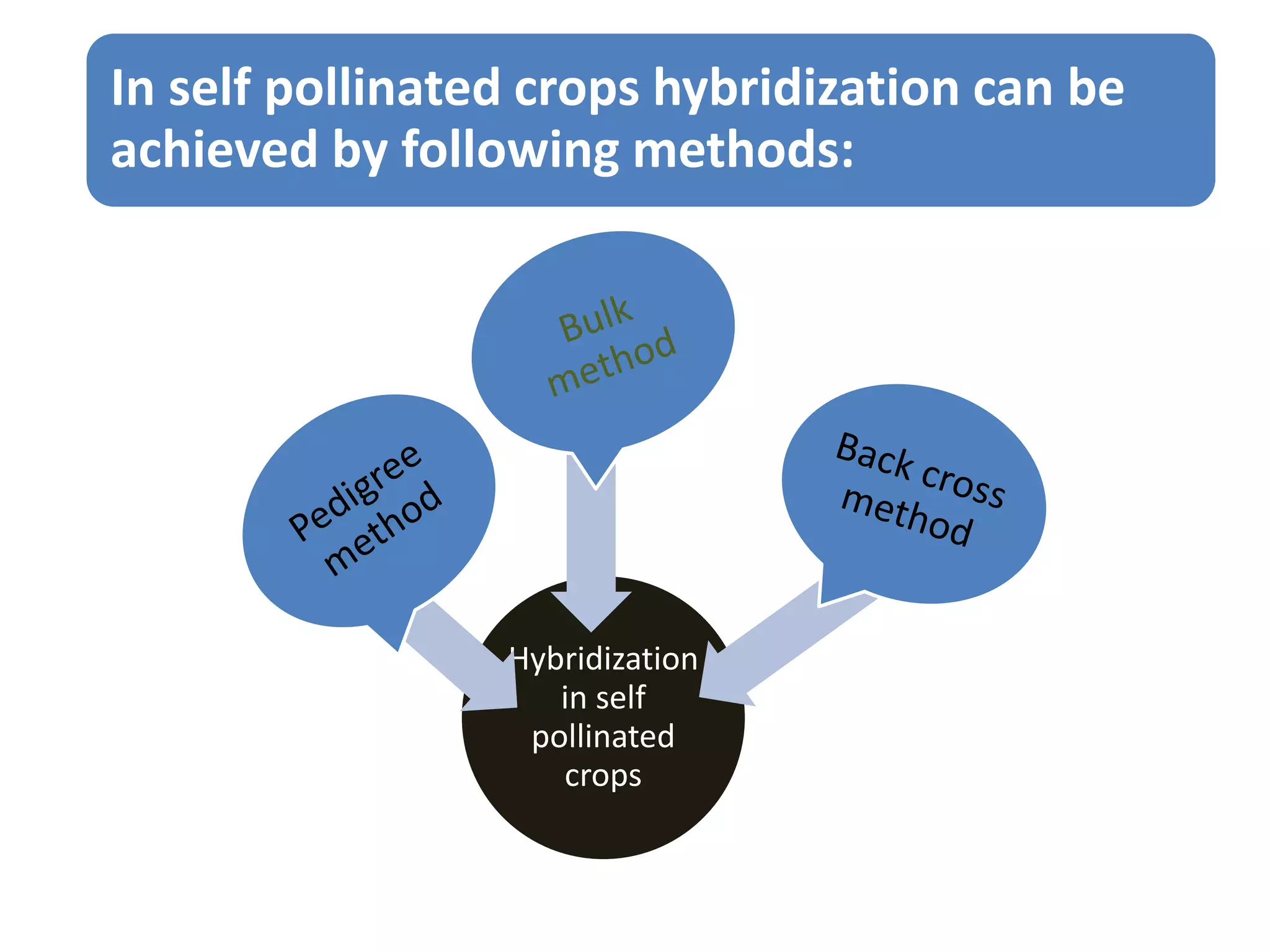 Hybridization
in self
pollinated
crops
In self pollinated crops hybridization can be
achieved by following methods:
 