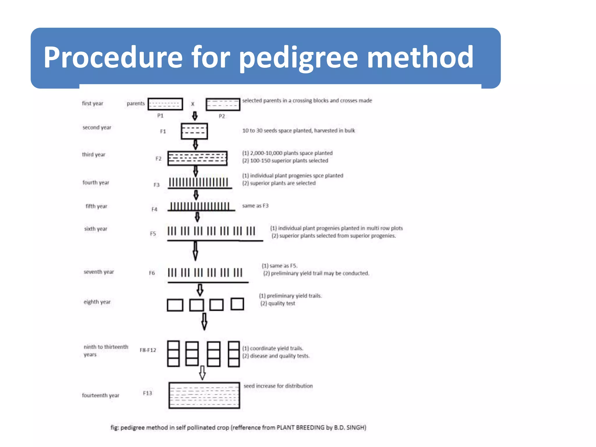 Procedure for pedigree method
 