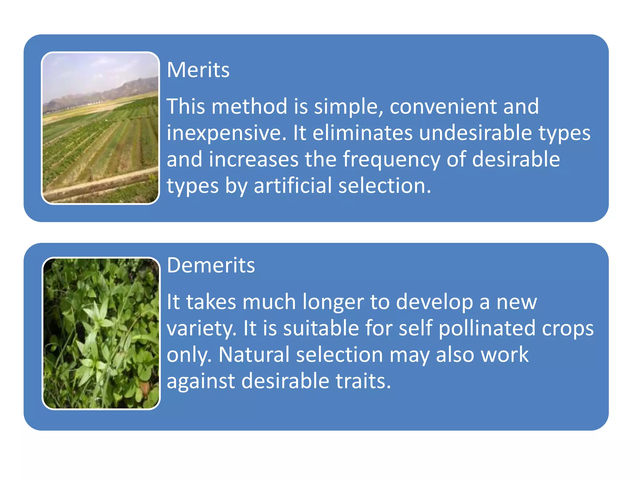 Merits
This method is simple, convenient and
inexpensive. It eliminates undesirable types
and increases the frequency of desirable
types by artificial selection.
Demerits
It takes much longer to develop a new
variety. It is suitable for self pollinated crops
only. Natural selection may also work
against desirable traits.
 