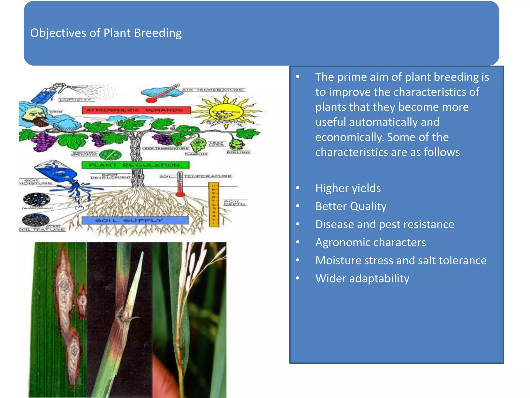 Objectives of Plant Breeding
• The prime aim of plant breeding is
to improve the characteristics of
plants that they become more
useful automatically and
economically. Some of the
characteristics are as follows
• Higher yields
• Better Quality
• Disease and pest resistance
• Agronomic characters
• Moisture stress and salt tolerance
• Wider adaptability
 