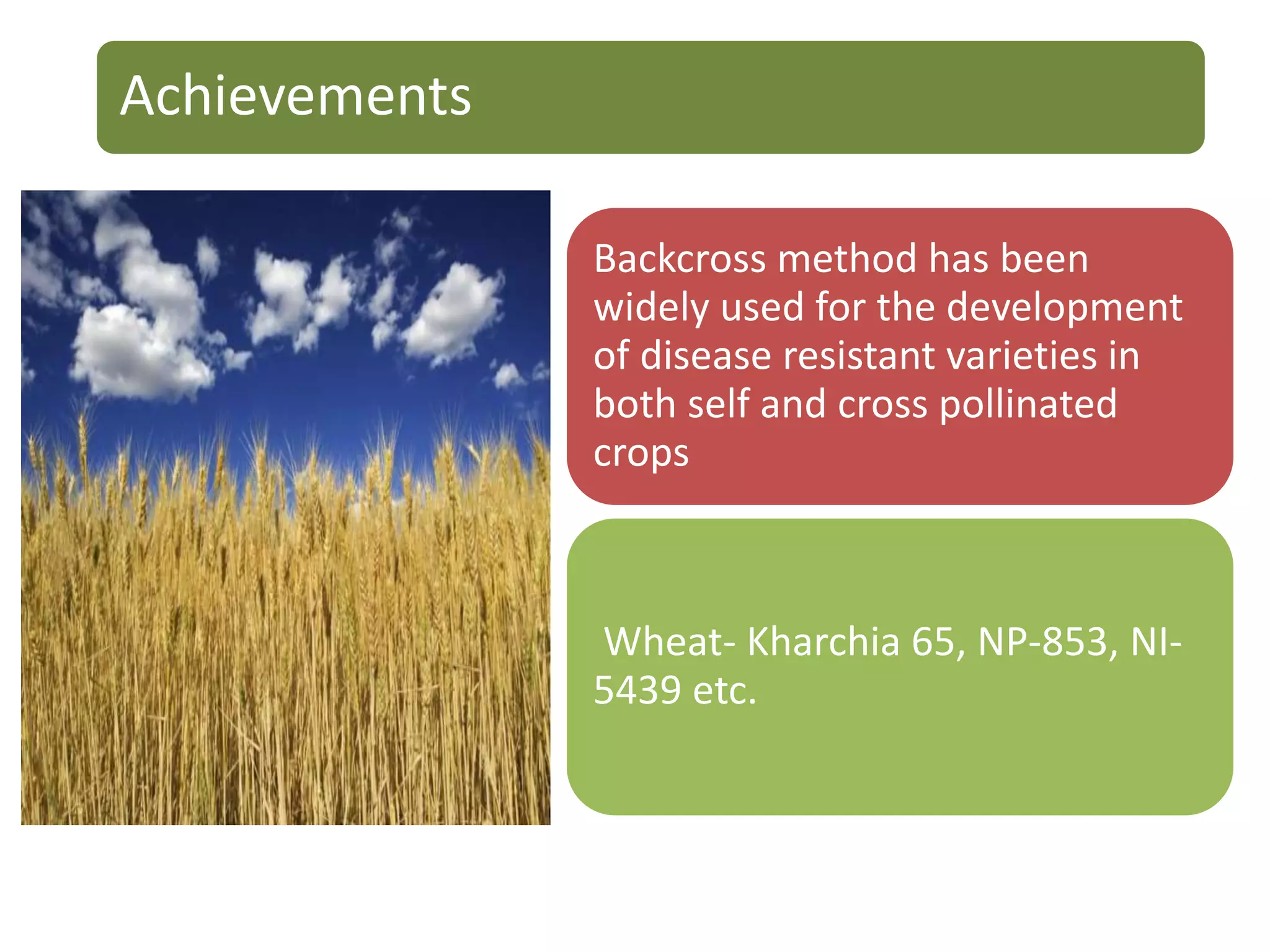 Achievements
Backcross method has been
widely used for the development
of disease resistant varieties in
both self and cross pollinated
crops
Wheat- Kharchia 65, NP-853, NI-
5439 etc.
 