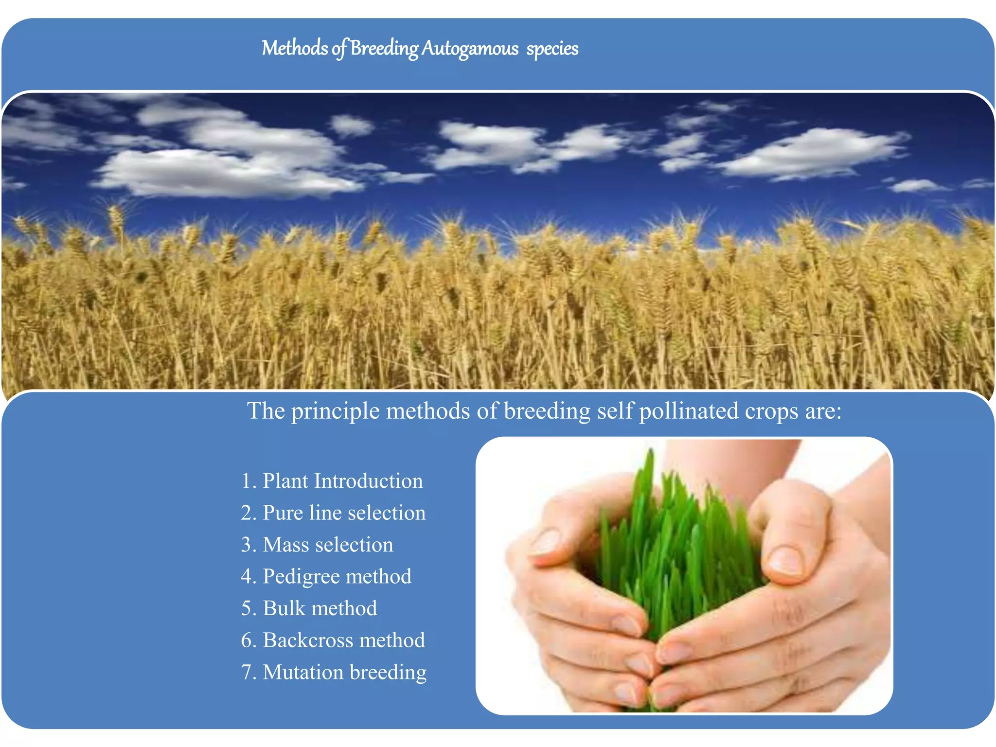 Methodsof BreedingAutogamous species
The principle methods of breeding self pollinated crops are:
1. Plant Introduction
2. Pure line selection
3. Mass selection
4. Pedigree method
5. Bulk method
6. Backcross method
7. Mutation breeding
 