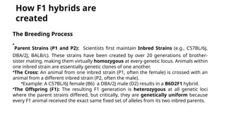 BREEDING TYPES of animals in animal house | PPTX