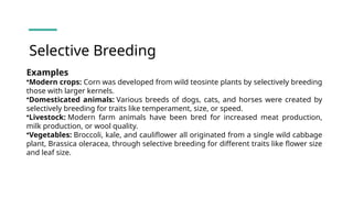 BREEDING TYPES of animals in animal house | PPTX