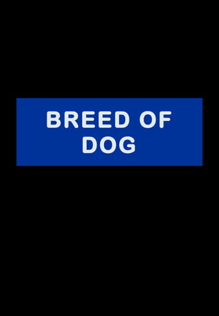 BREED OF DOG 