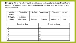 Different Breeds of Goats and Sheep.pptx