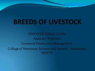 DANVEER SINGH YADAV
Assistant Professor
Livestock Production Management
Collegeof Veterinary Scienceand Animal Husbandry
MHOW
 