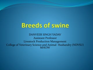 DANVEER SINGH YADAV
Assistant Professor
Livestock Production Management
College of Veterinary Science and Animal Husbandry (NDVSU)
MHOW
 
