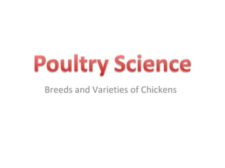 Breeds and Varieties of Chickens 
