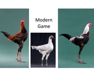 Modern Game