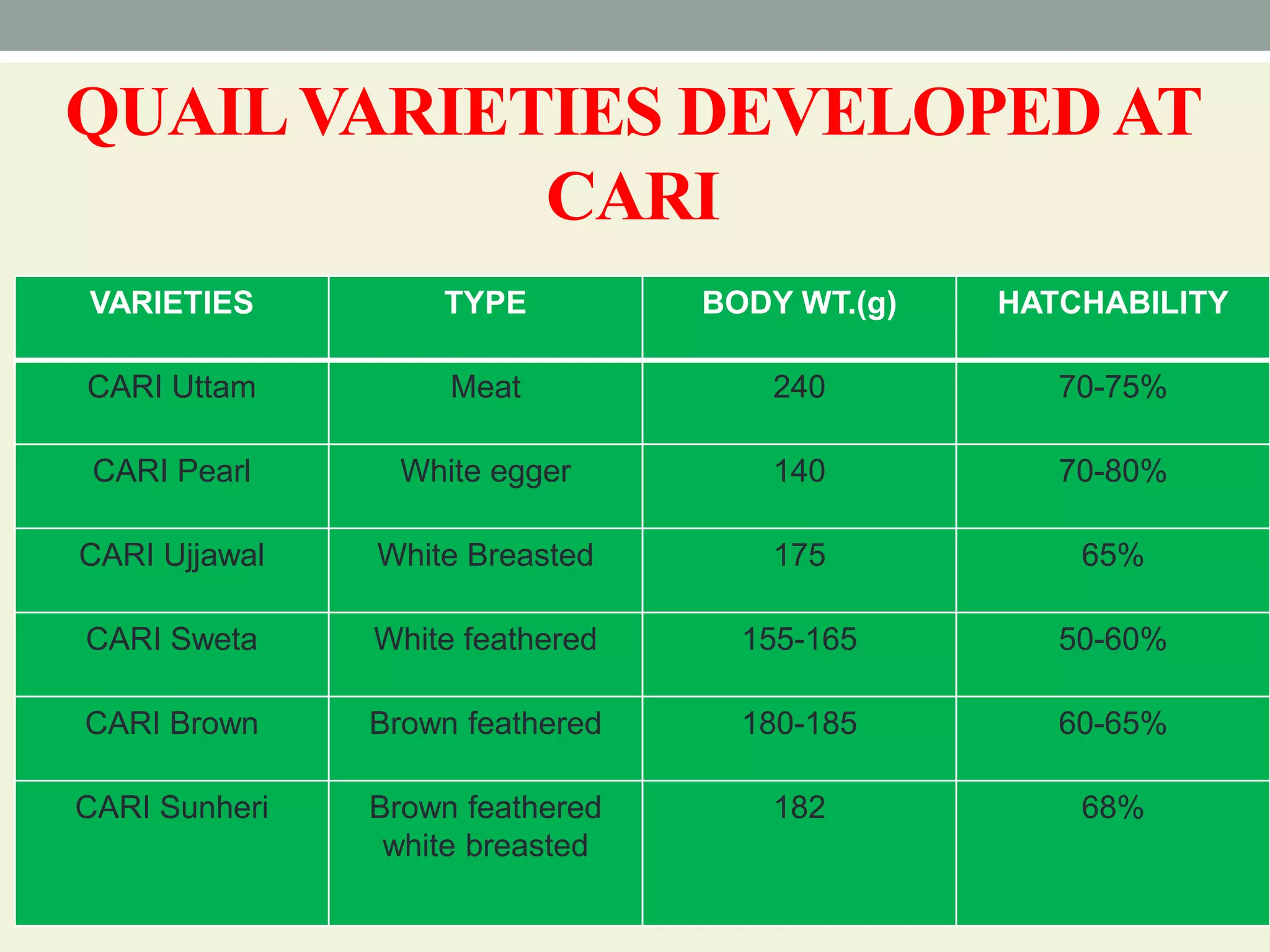 Breeds and varieties of quail | PPT