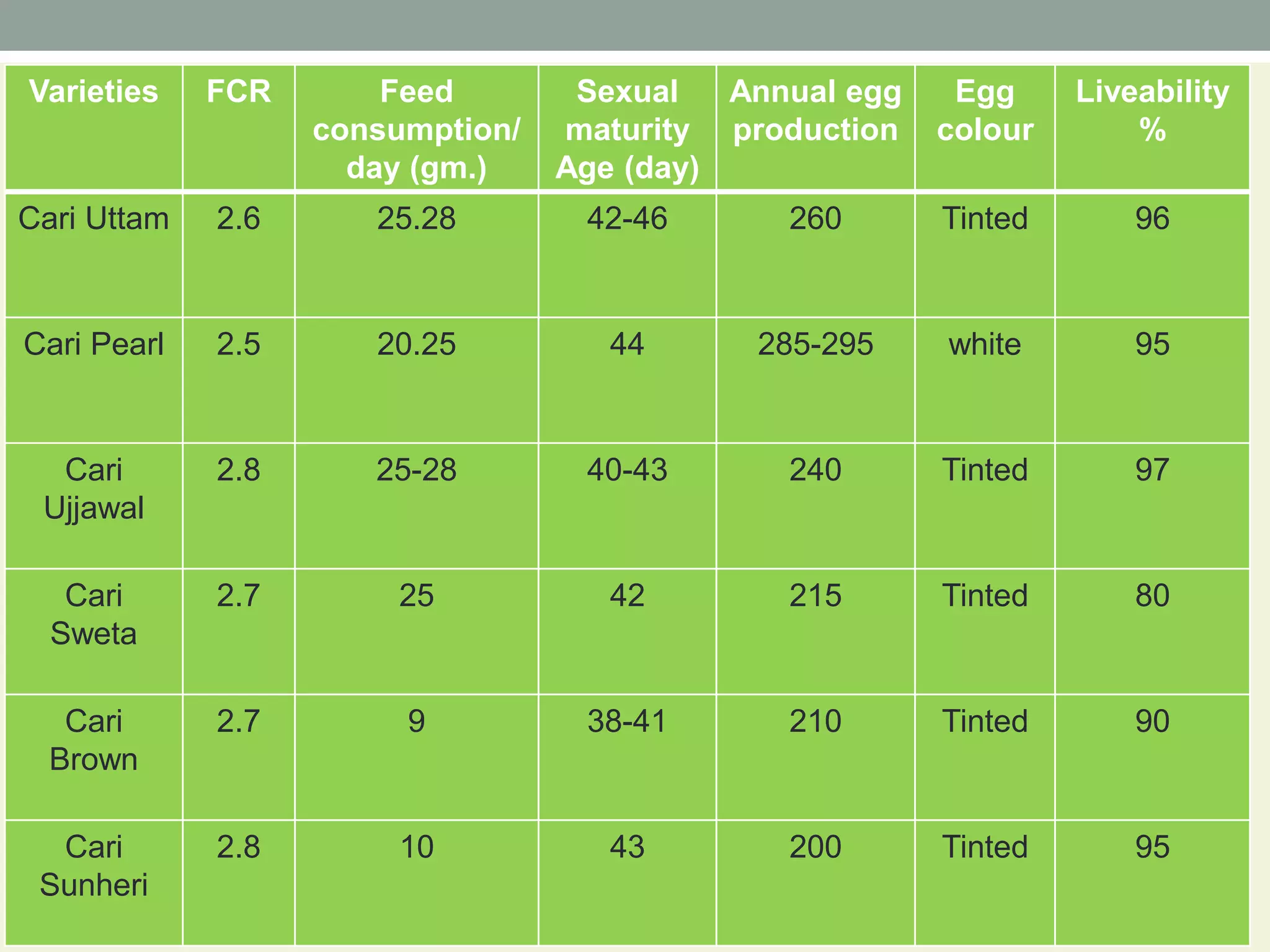 Breeds and varieties of quail | PPT