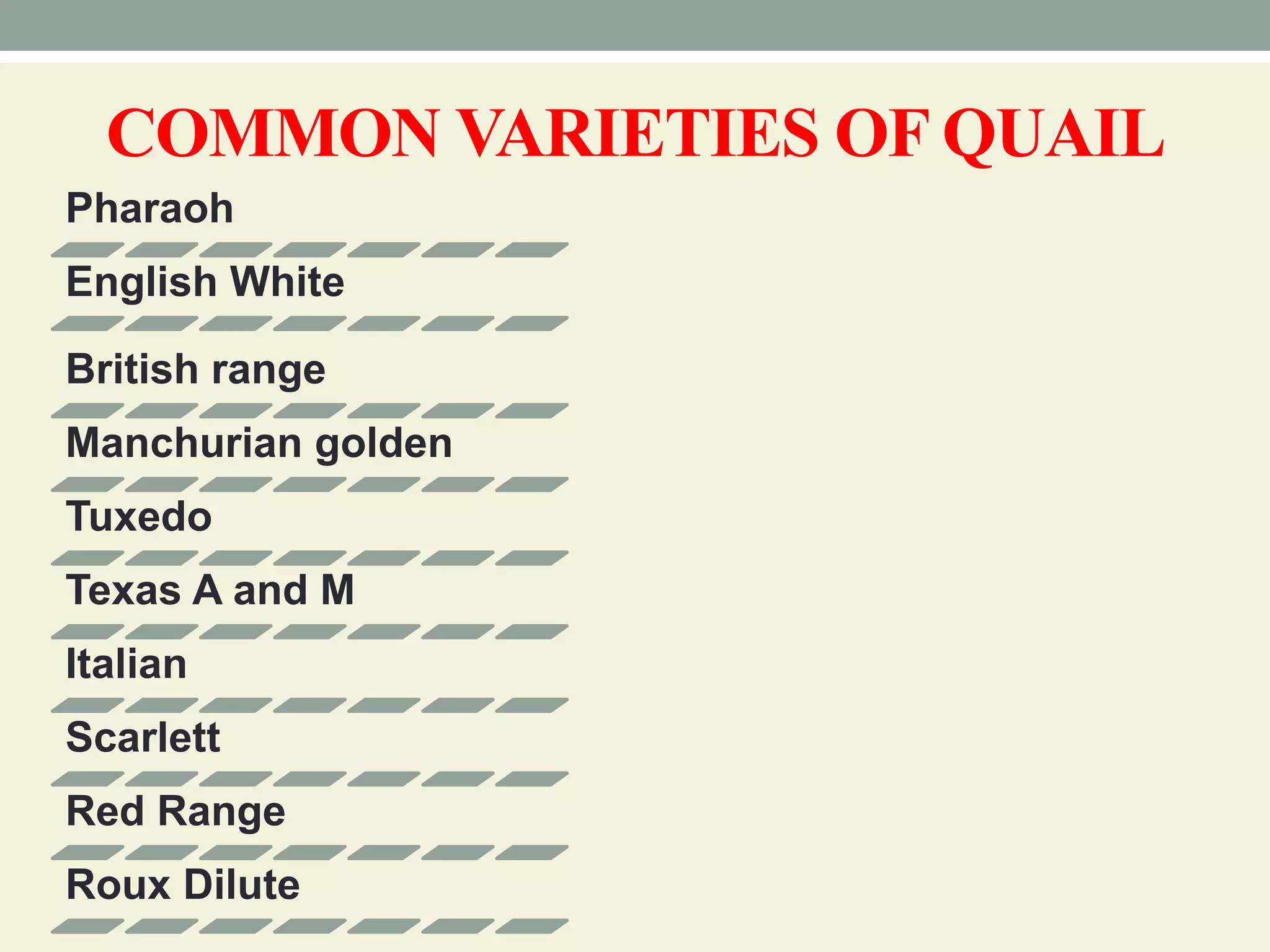 Breeds and varieties of quail | PPT