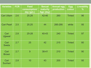 Varieties FCR Feed
consumption/
day (gm.)
Sexual
maturity
Age (day)
Annual egg
production
Egg
colour
Liveability
%
Cari Uttam 2.6 25.28 42-46 260 Tinted 96
Cari Pearl 2.5 20.25 44 285-295 white 95
Cari
Ujjawal
2.8 25-28 40-43 240 Tinted 97
Cari
Sweta
2.7 25 42 215 Tinted 80
Cari
Brown
2.7 9 38-41 210 Tinted 90
Cari
Sunheri
2.8 10 43 200 Tinted 95
 
