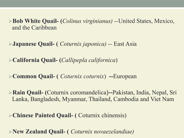 Breeds and varieties of quail | PPT