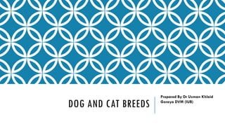 DOG AND CAT BREEDS
Prepared By Dr Usman Khlaid
Goraya DVM (IUB)
 
