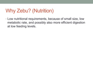 Why Zebu? (Nutrition)
• Low nutritional requirements, because of small size, low
metabolic rate, and possibly also more efficient digestion
at low feeding levels.
 