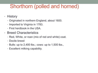 Shorthorn (polled and horned)
• History
• Originated in northern England, about 1600.
• Imported to Virginia in 1783.
• First herdbook in the USA.
• Breed Characteristics
• Red, White, or roan (mix of red and white) coat.
• Docile breed
• Bulls: up to 2,400 lbs.; cows: up to 1,500 lbs.,
• Excellent milking capability.
 
