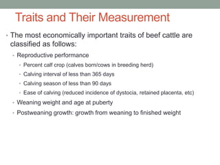 Traits and Their Measurement
• The most economically important traits of beef cattle are
classified as follows:
• Reproductive performance
• Percent calf crop (calves born/cows in breeding herd)
• Calving interval of less than 365 days
• Calving season of less than 90 days
• Ease of calving (reduced incidence of dystocia, retained placenta, etc)
• Weaning weight and age at puberty
• Postweaning growth: growth from weaning to finished weight
 
