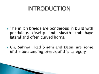  The milch breeds are ponderous in build with
pendulous dewlap and sheath and have
lateral and often curved horns.
 Gir, Sahiwal, Red Sindhi and Deoni are some
of the outstanding breeds of this category
 