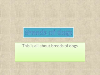 This is all about breeds of dogs
 